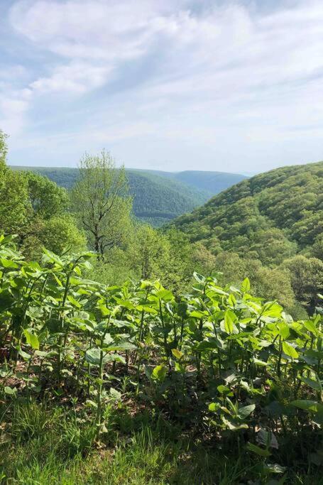2 Bedroom 2 Bathroom - Blue Knob All Season Resort Condo Claysburg 외부 사진